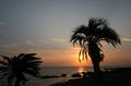 三戸海岸の夕日