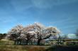北杜市立和田小学校