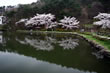 岳温泉・鏡池