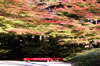 大河内山荘にて
