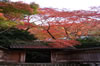 瑠璃光院にて