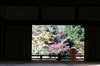 天龍寺