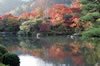 天龍寺