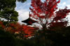 常寂光寺にて