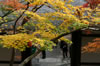 常寂光寺にて