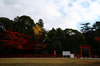 上賀茂神社にて