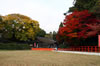 上賀茂神社にて