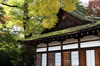 上賀茂神社にて