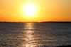 浦安の夕景