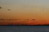 浦安の夕景