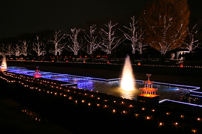 国営昭和記念公園