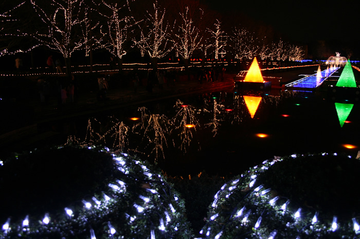 国営昭和記念公園