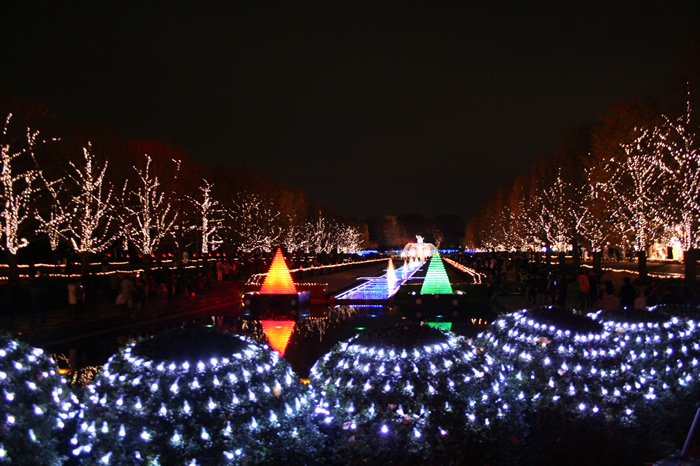 国営昭和記念公園