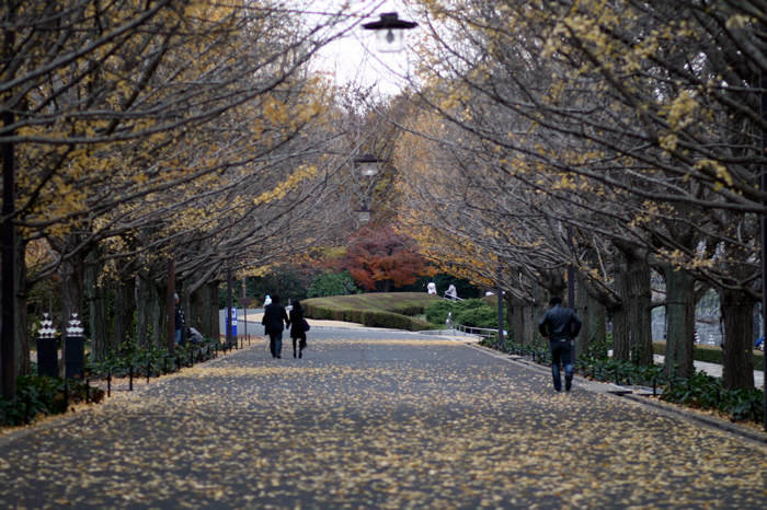 国営昭和記念公園