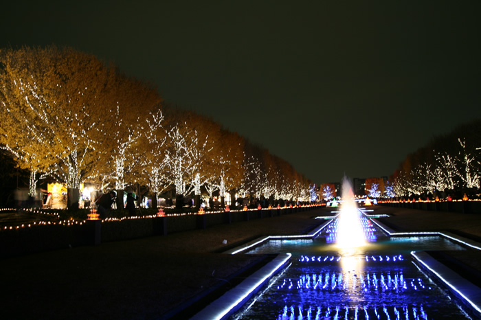 国営昭和記念公園