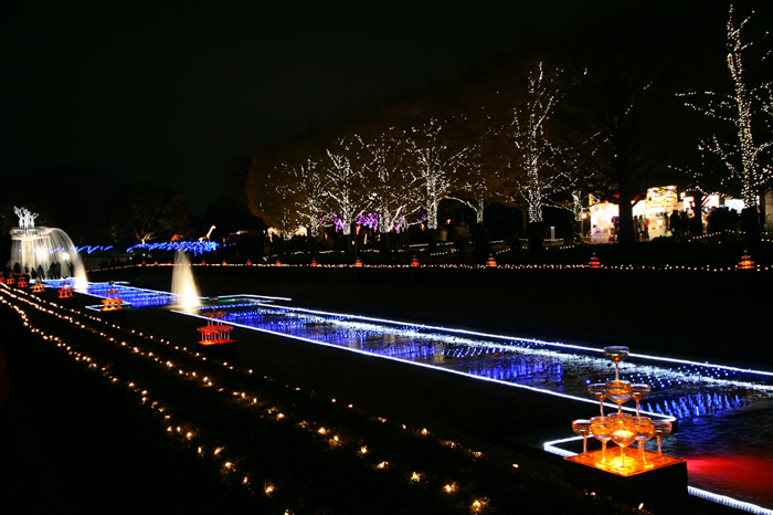 国営昭和記念公園