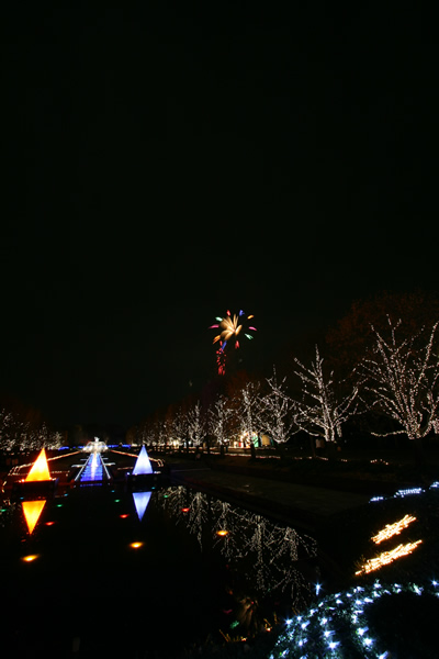 国営昭和記念公園の花火
