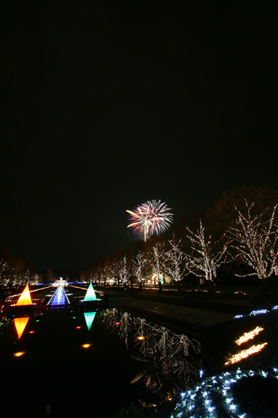 国営昭和記念公園の花火