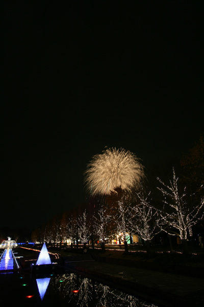 国営昭和記念公園の花火