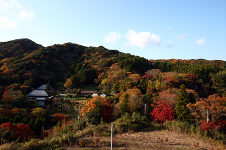 志駒渓谷　里の紅葉
